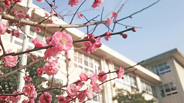 大学入学